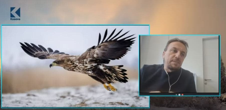 Fotografia e shqiponjës nga Ruzhdi Ibrahimi, pjesë e konkursit të fotografisë në Zvicër (VIDEO)