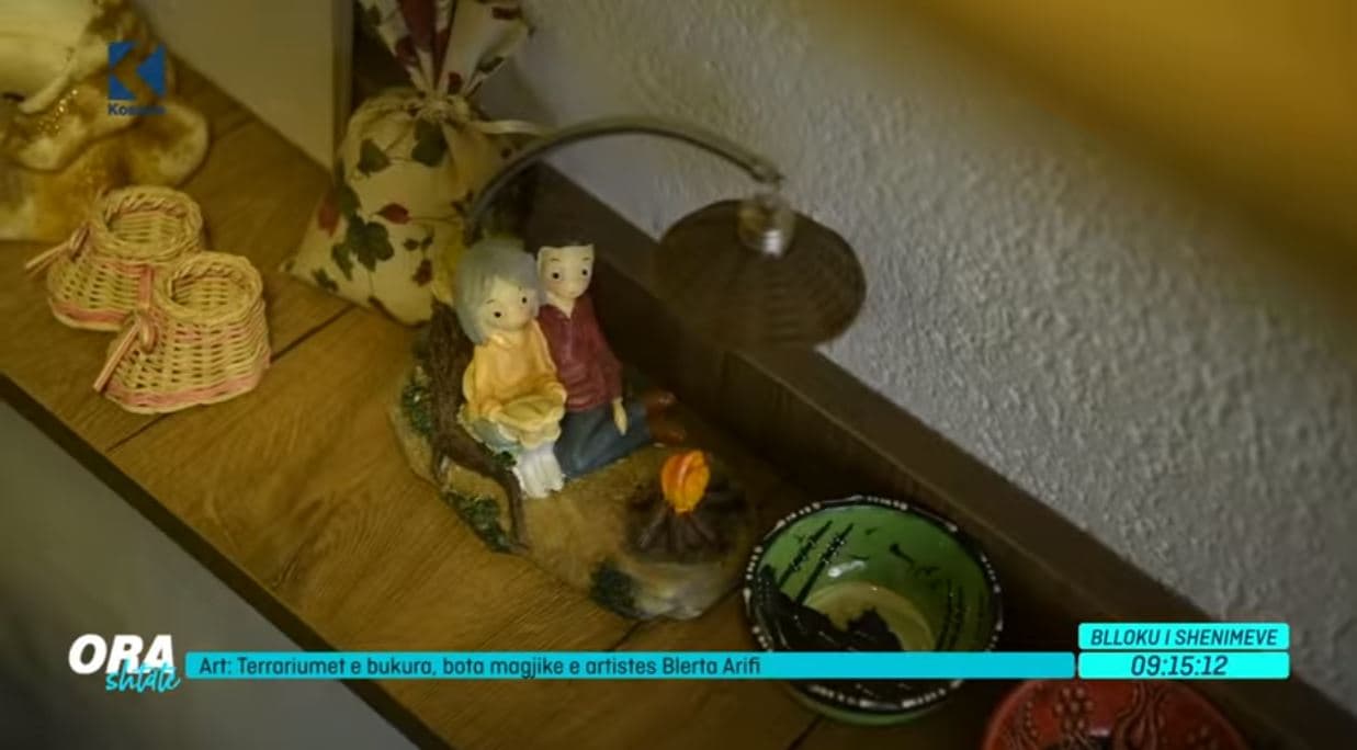 Terrariumet e bukura, bota magjike e artistes Blerta Arifi (VIDEO)