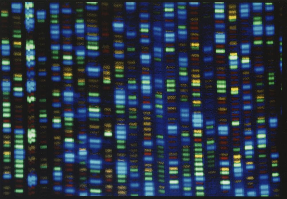 Arritje e madhe për njerëzimin, kompletohet sekuencimi 20 vjeçar i ADN-së