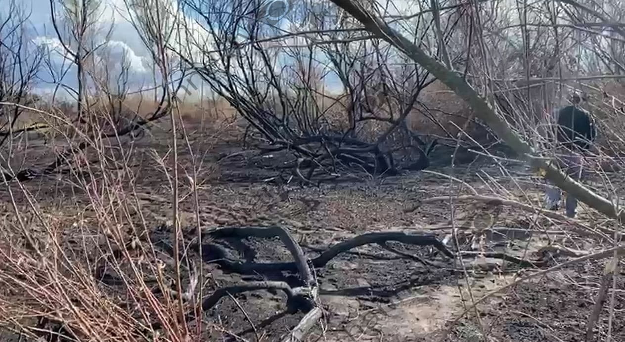 Gjenden mbetje kockore dhe kafka e një njeriu në afërsi të Fushë Kuqes