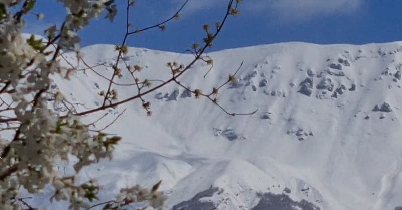 Malet e Dibrës zbardhen nga bora (VIDEO)