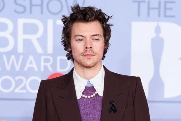 Harry Styles zbulon pse ndihej "aq i turpëruar" për jetën e tij seksuale