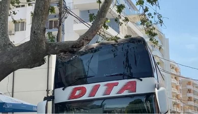Përplaset me pemën autobusi me 50 turistë nga Kosova në Vlorë