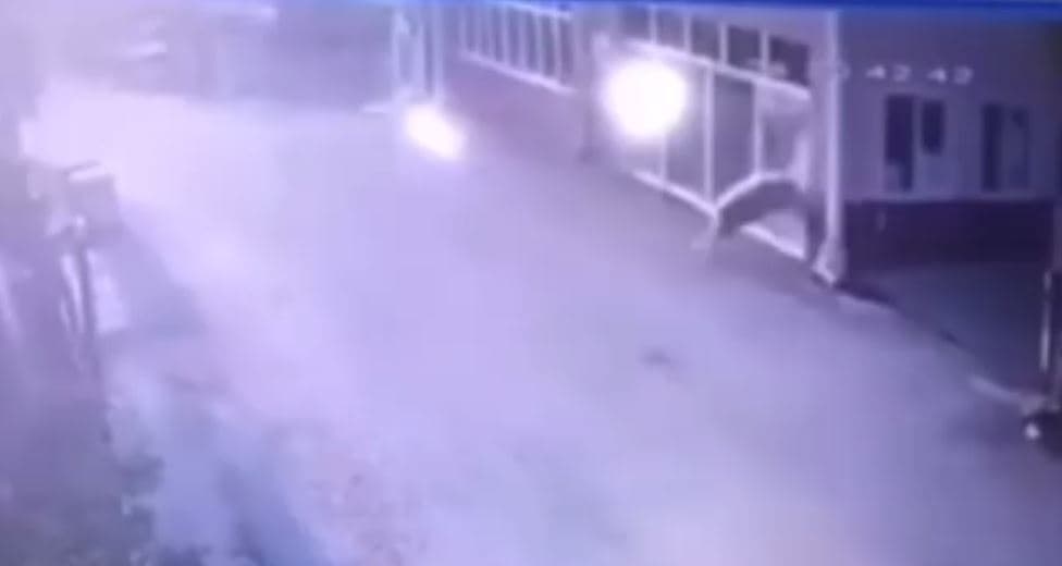 Delja thyen dritaren duke luftuar me reflektimin e saj (VIDEO)