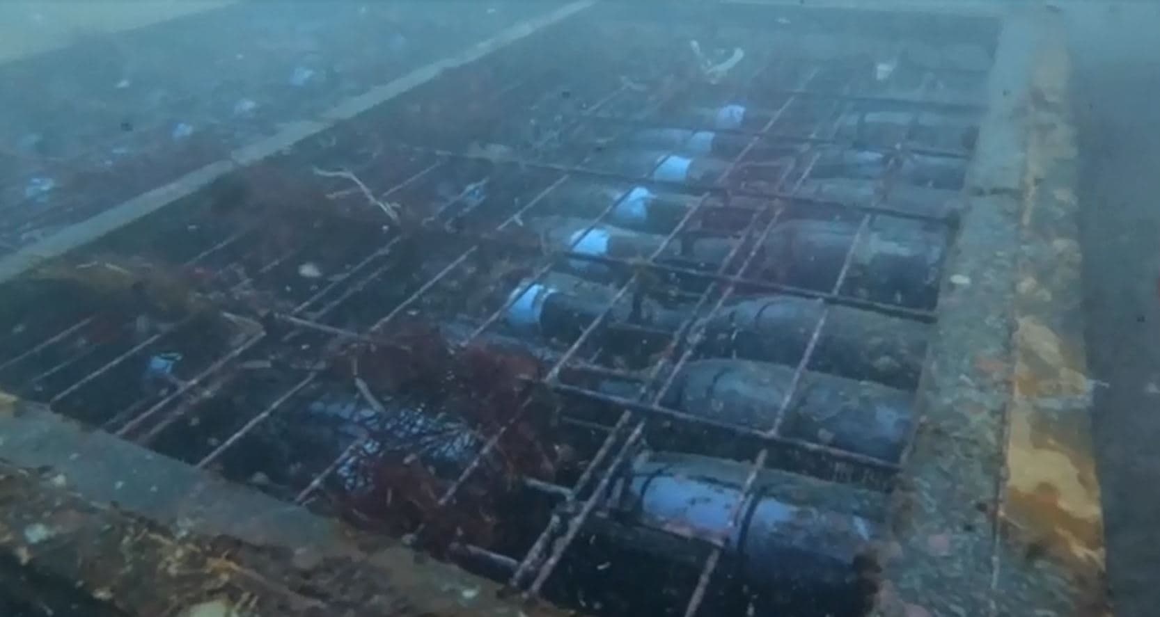 Thesari i pazakontë i fshehur në fund të Atlantikut (FOTO)