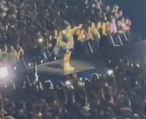 Billie Eilish e ndalon koncertin sepse disa fansave iu ra të fiktë (VIDEO)