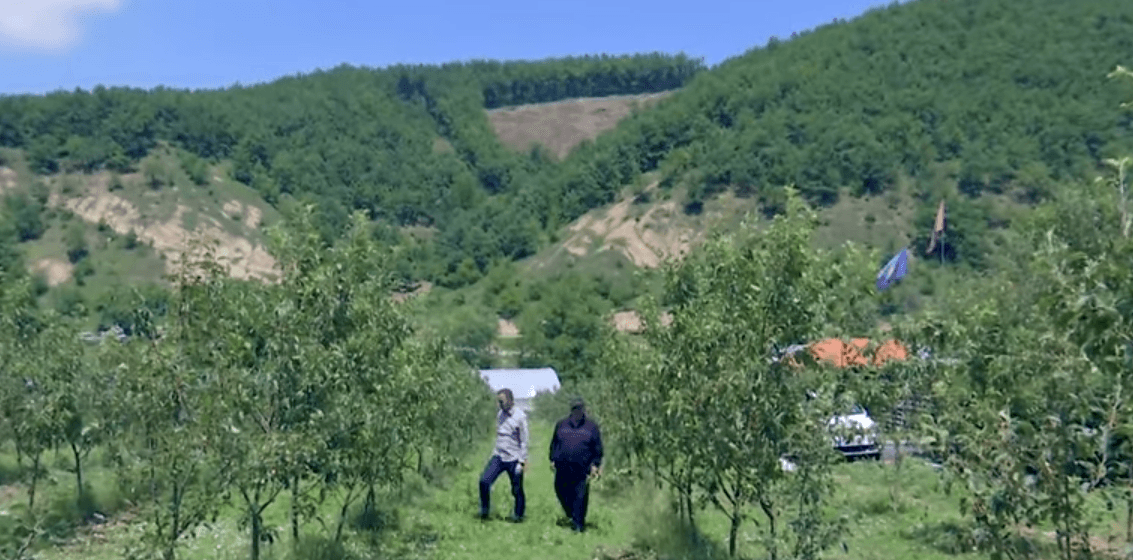 Bujqit i dëmtuan shumë stuhia e breshëri që ranë gjatë javës (VIDEO)