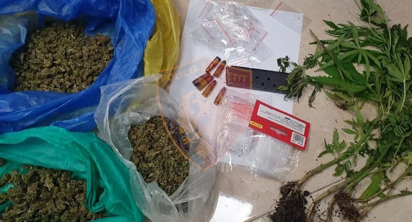 Tiranë: Arrestohen babë e bir, kultivuan kanabis në banesën e tyre