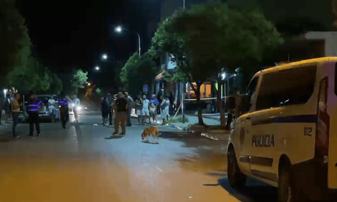 Gjenden plot 108 gëzhoja në vendin ku një u vra e tjetri u plagos, nga atentati në Milot