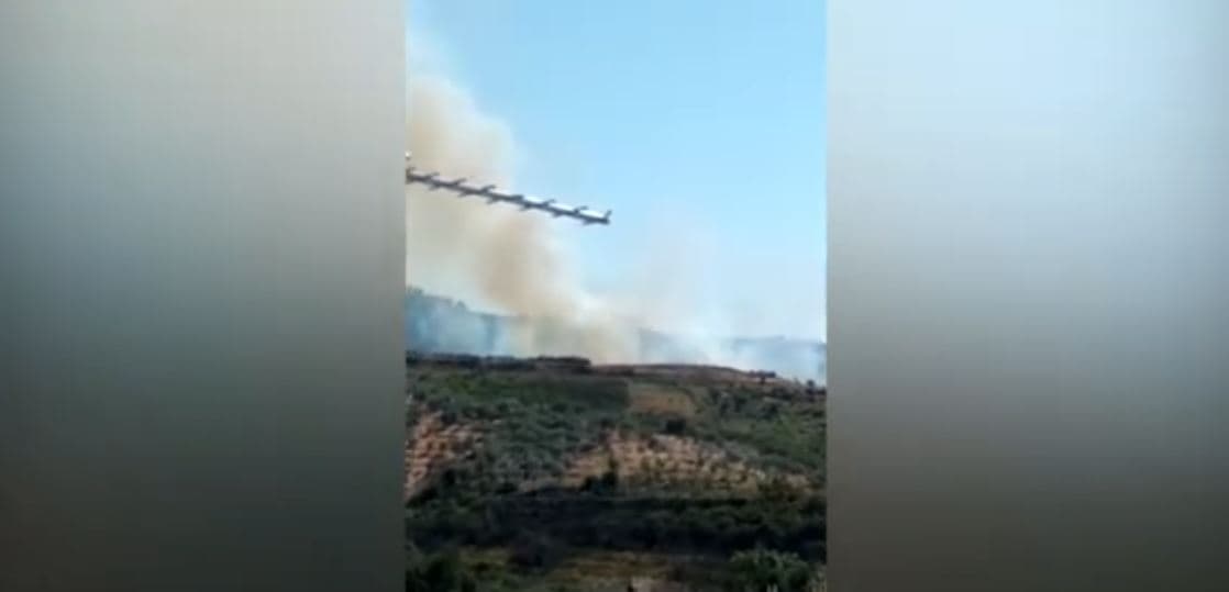Zjarr tek “Burimi i Lajthisë” në Dukas të Patosit, digjen ullinj të rinj dhe shekullorë