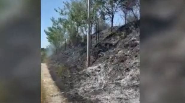 Tre vatra zjarri sot në Elbasan, digjen sipërfaqe të mëdha me ullinj