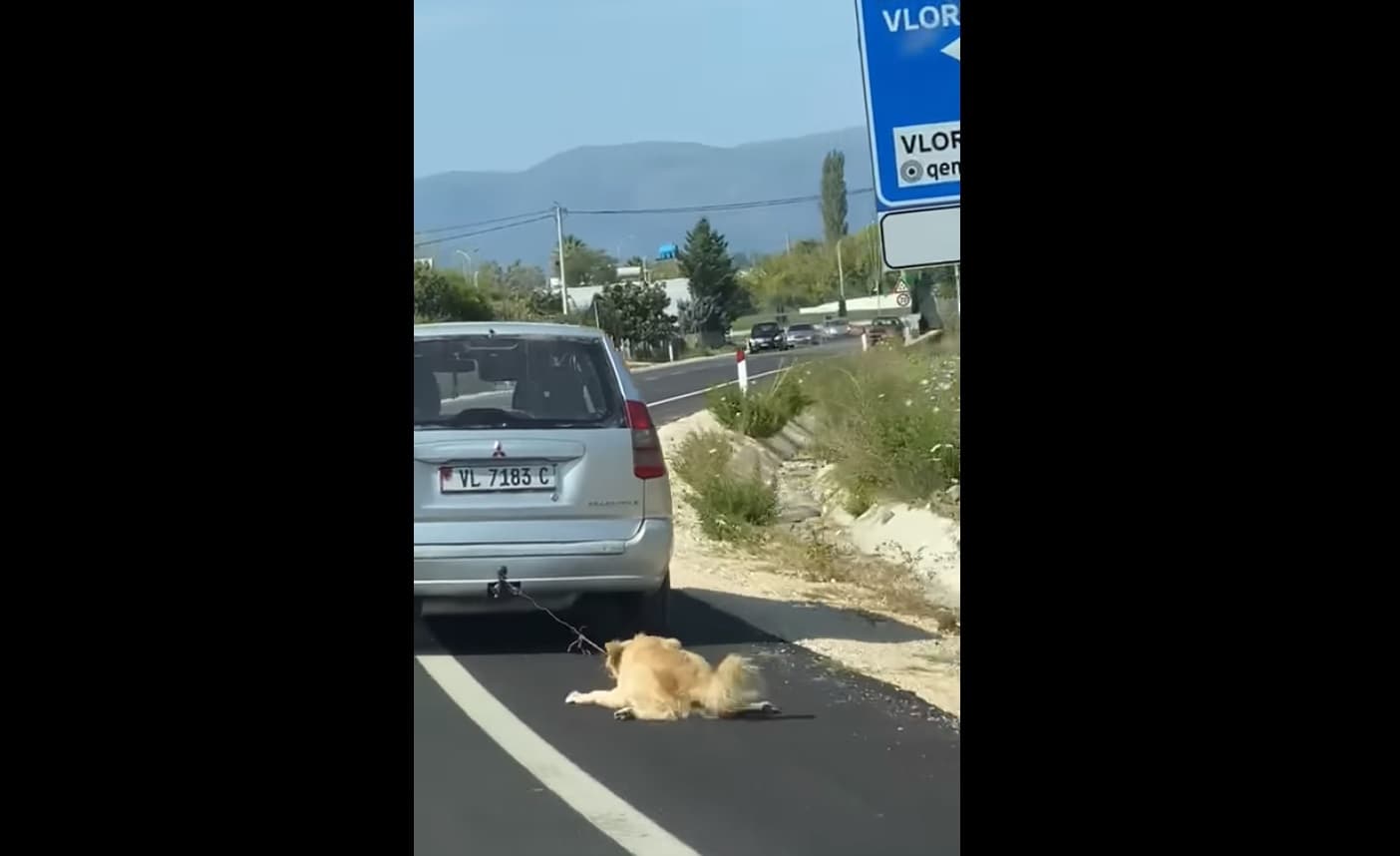 Pamje të rënda nga Vlora, qytetari e tërheq qenin zvarrë me veturë (VIDEO)