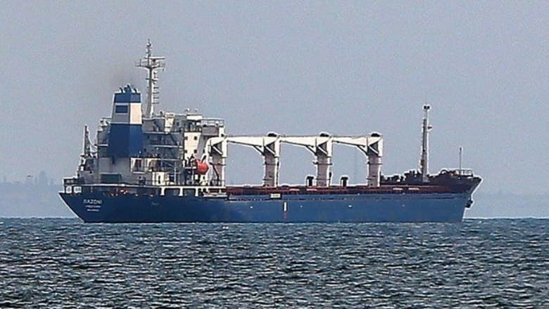 Pas gjashtë muaj luftë, anija e parë me grurë nga Odessa arrin në Stamboll