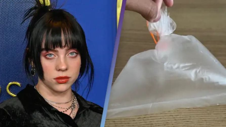 Fansi i Billie Eilish kap ajër me qese në koncert, e vë në shitje për 10,000 euro