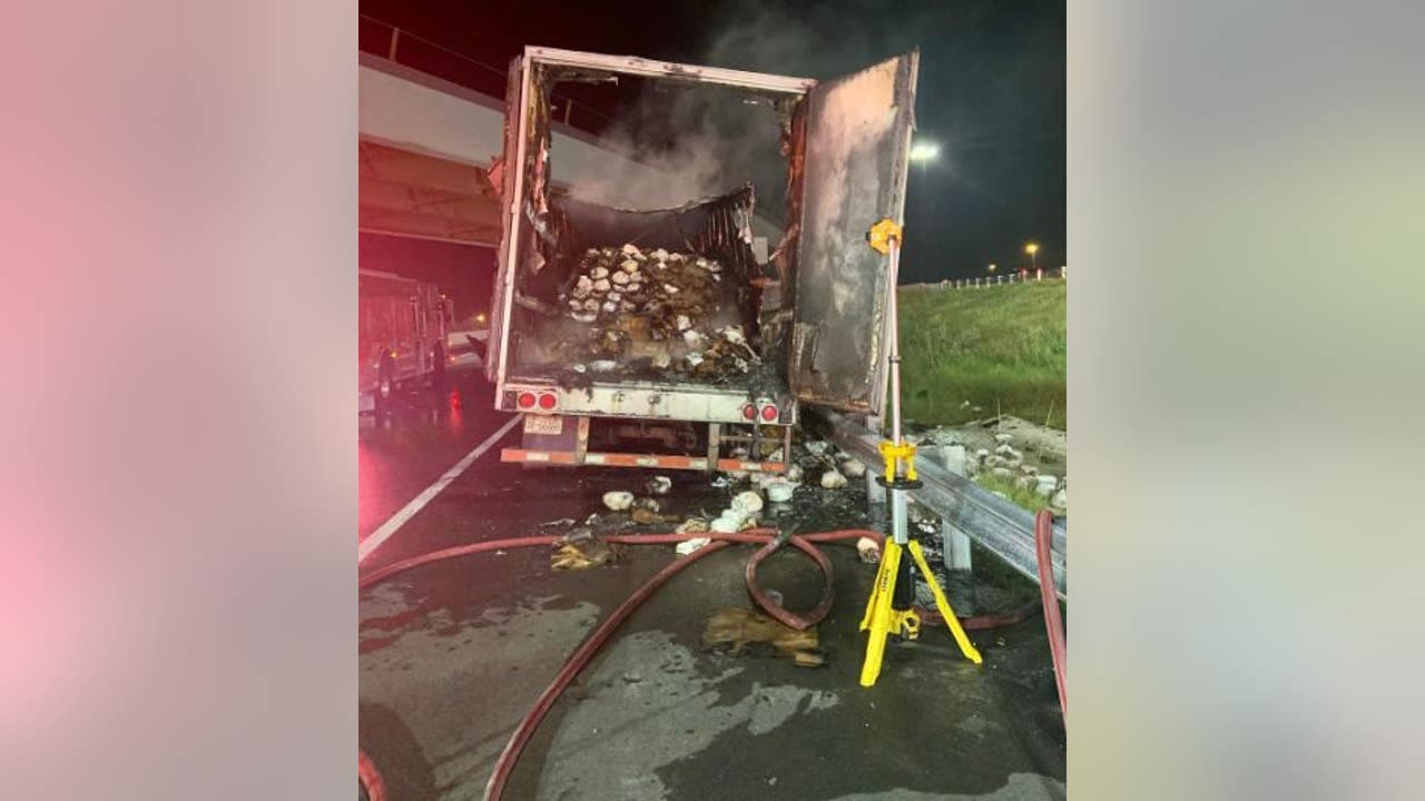 Kamioni që transportonte 10 mijë gjela të ngrirë merr flakë në autostradë