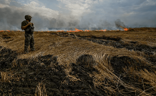 Arave me flakë, Ukraina ka shirë 17.5 milionë tonë drithë