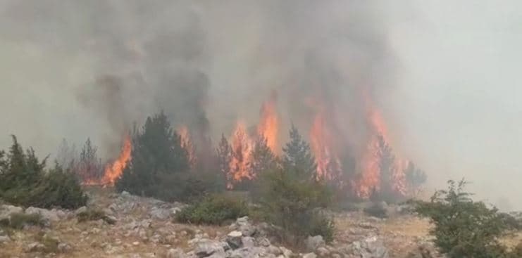 I vuri zjarrin barit të thatë, por dogji 100 hektarë tokë, arrestohet një 60-vjeçar