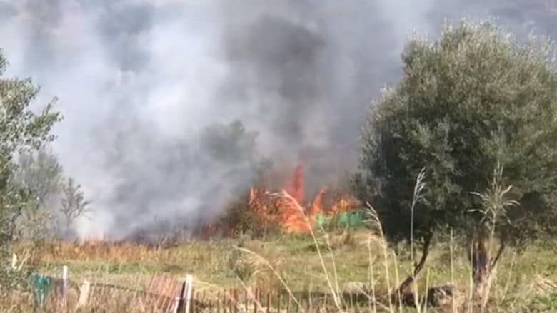 Shtohen vatrat e zjarrit në Shqipëri, autoritetet: Shumë janë të qëllimshme
