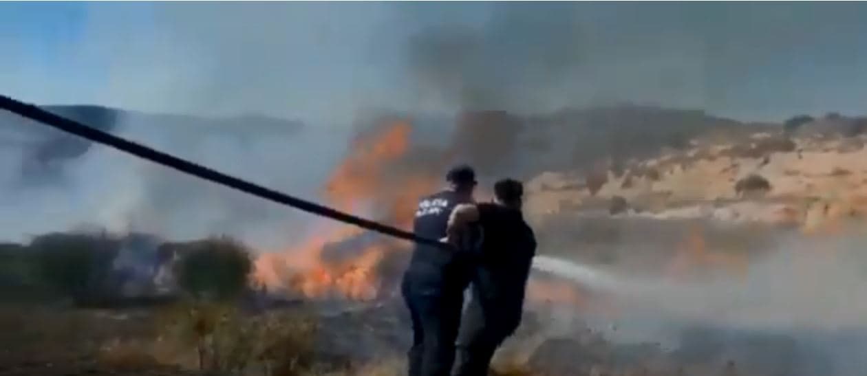 Zjarri përfshin sipërfaqet e mbjella me ullinj në Patos të Fierit (VIDEO)