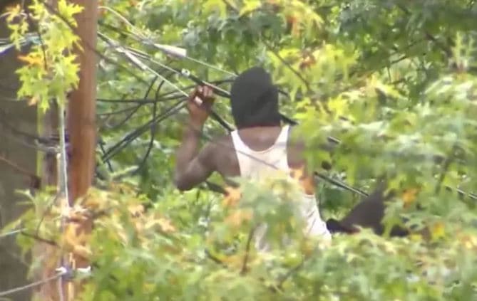 39-vjeçari u ikë policëve duke u ngjitur në tela të rrymës, kapet pas 10 orësh ndjekje (FOTO)