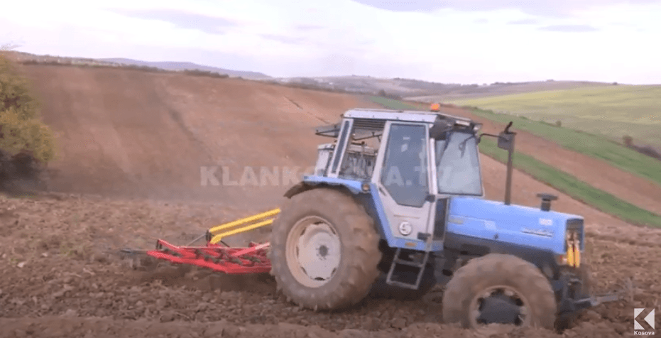 Në Kosovë shtohen sipërfaqet me grurë (VIDEO)