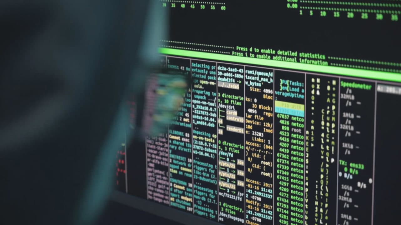 Sulmi kibernetik, hakerat publikojnë databazën e të gjithë personave të dyshuar për krime