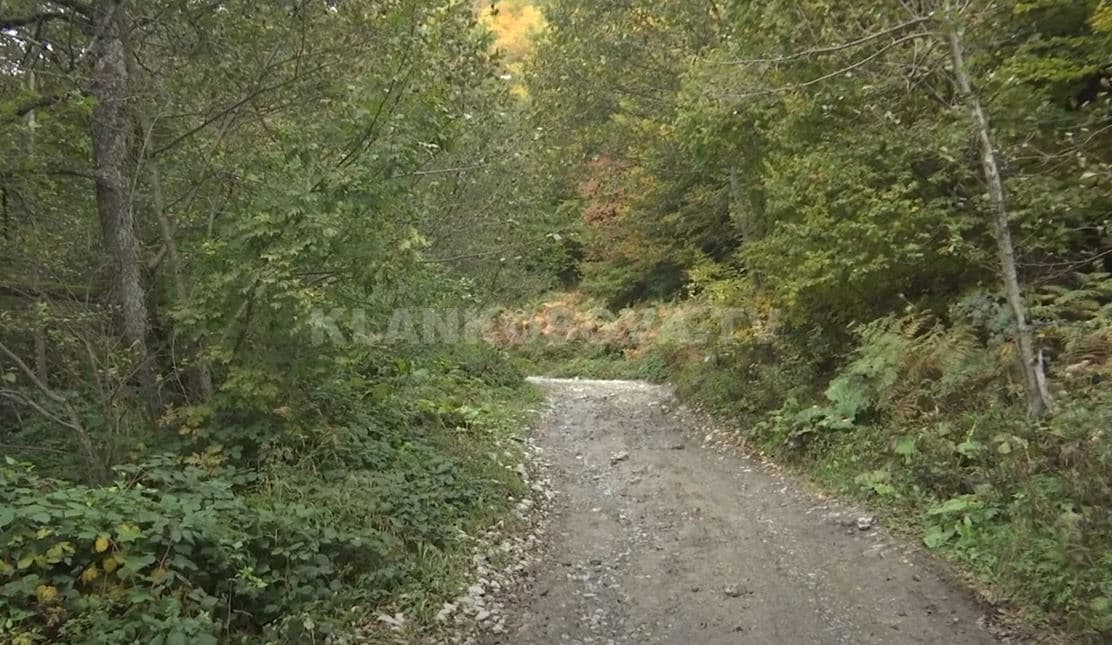 Traktori mbyt 30-vjeçarin që shkoi të marrë dru për familjen në bjeshkët e Junikut (VIDEO)