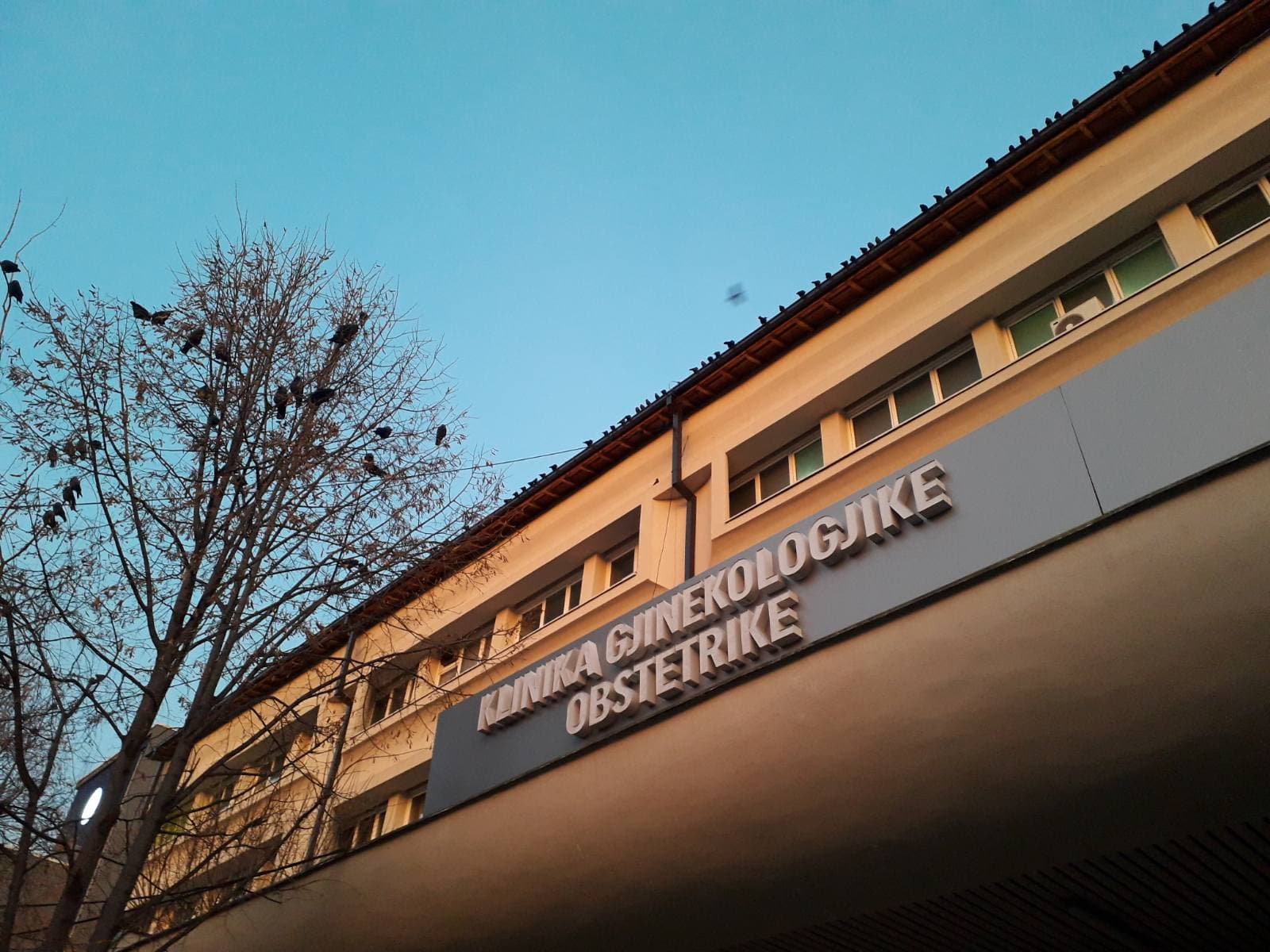 Krejt çfarë dihet për vrasjen e gruas shtatzënë para Gjinekologjisë