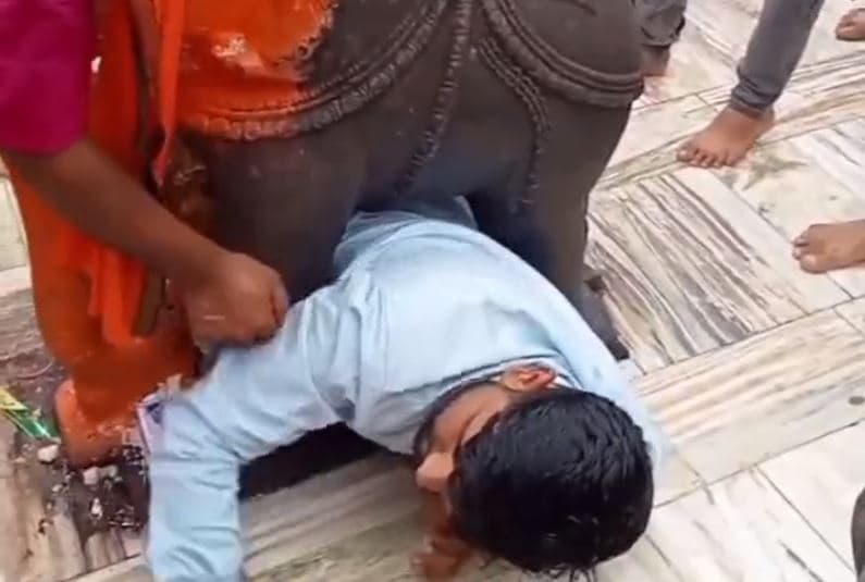 Indiani ngec ndërmjet këmbëve të elefantit statujë, gjatë ritualit fetar (VIDEO)