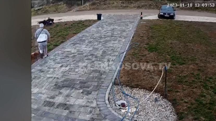 Ferizaj: Djaloshi që po sulmohej nga qentë shpëtohet mrekullisht nga një banor afër (VIDEO)