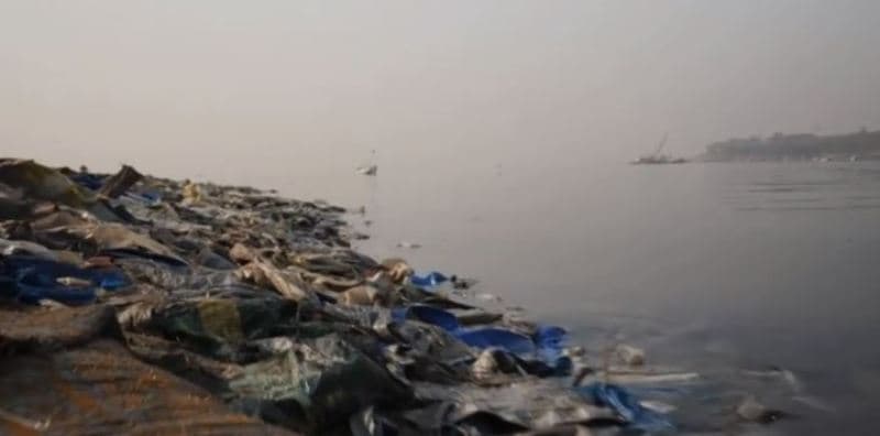 Ky është njeriu që zbuloi për herë të parë plastikën në oqean (VIDEO)