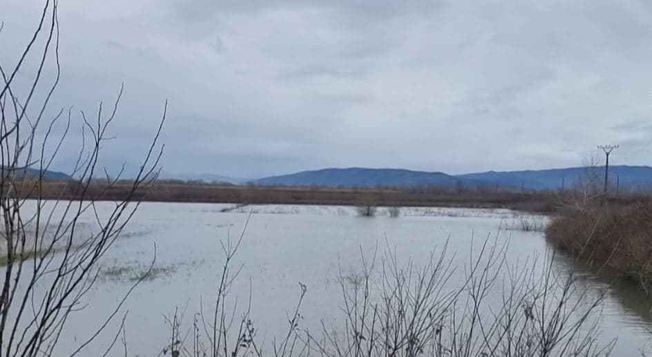 1400 hektarë tokë e përmbytur në Shkodër