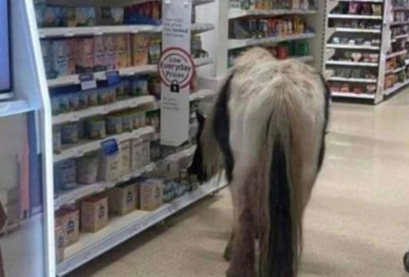 Kali "viziton" një market në Mbretërinë e Bashkuar (FOTO)