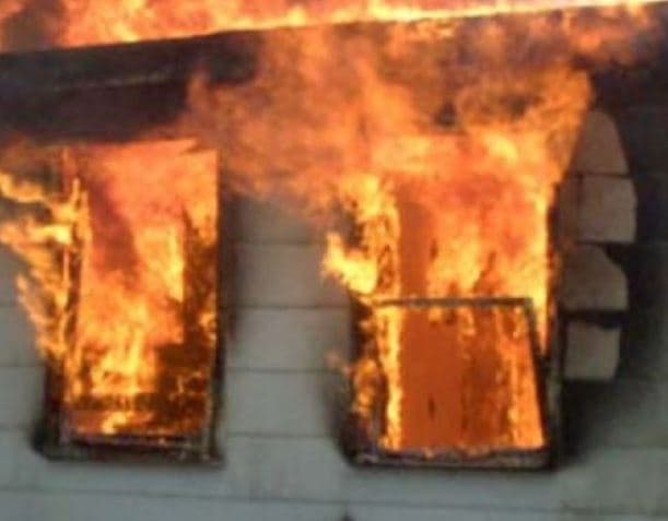 Rahovec, digjen 350 trupa të kumbullave, 20 ari mal dhe një objekt - nisin hetimet