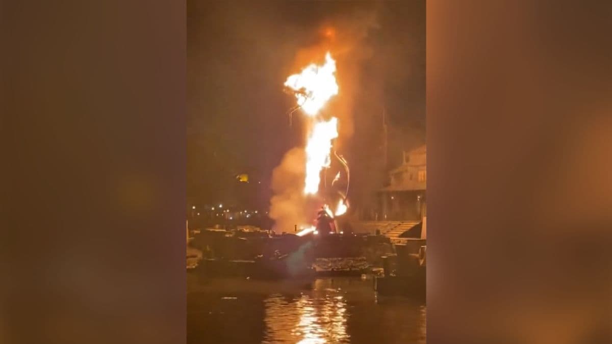 Dragoi merr flakë gjatë shfaqjes së Disneylandit (VIDEO)