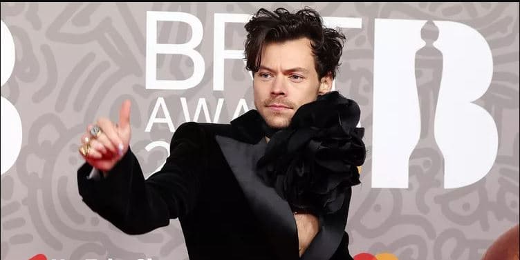 Harry Styles sulmohet derisa ishte duke kënduar në skenë (VIDEO)