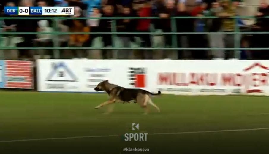 Qeni e ndëpret për disa sekonda lojën Dukagjini – Ballkani (VIDEO)