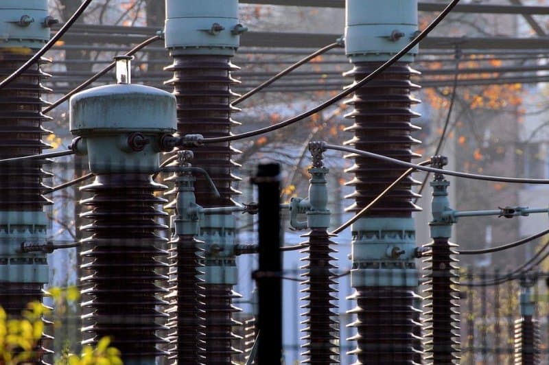 Teksas: Gjarpri ua ndërpreu energjinë elektrike 16 mijë konsumatorëve