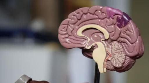 Sipas një studimi, valët e trurit mund të parashikojnë dëmtimin kognitiv të Parkinsonit