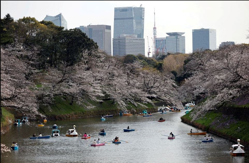 Japonia ka numër të vogël të turistëve në sezonin më atraktiv