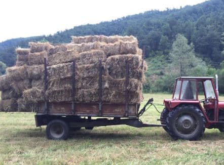 Vdiq një 22-vjeçar në Konispol, ra nga lartësia derisa po ngarkonte sanë në traktor