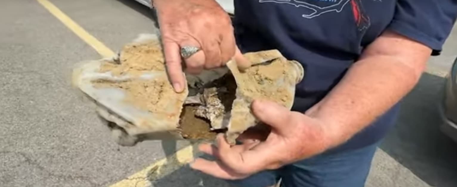 Gjendet kapsula e kohës nën pemën 26-vjeçare