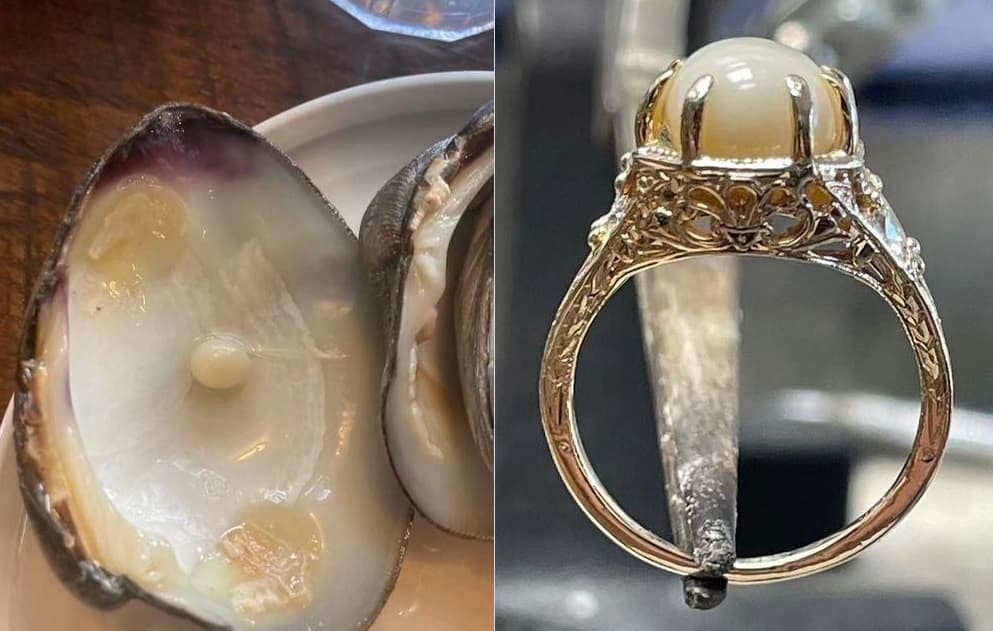Perla e gjetur në molusqe të restorantit bëhet unazë fejese