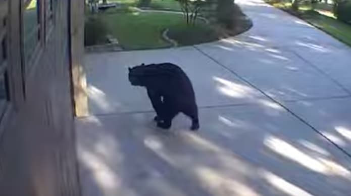 Ariu hyn në verandën e familjes në Florida, pi tre kanoçe me pije (VIDEO)