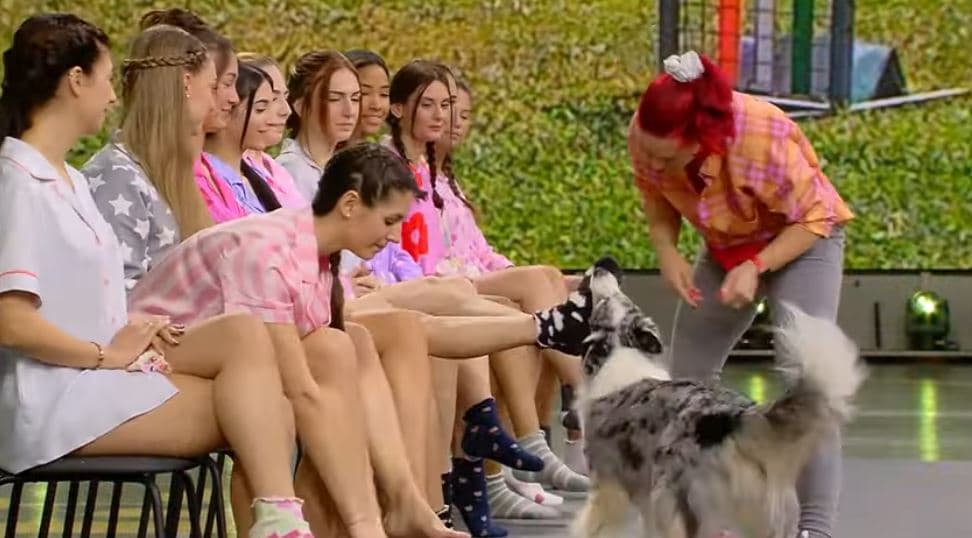 Qeni kanadez heq çorapet nga 21 këmbë për të shënuar Rekordin Guinness (VIDEO)