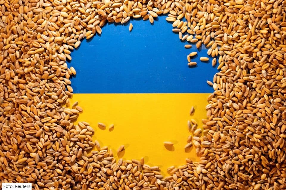 Ministri i Jashtëm polak: E mbështesim Ukrainën, por duhet të mbrojmë fermerët tanë