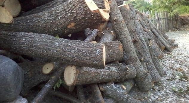 Në Brod të Shtërpcës, roja i pyllit sulmohet fizikisht