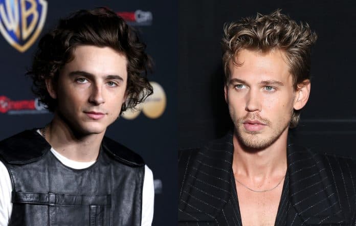 Timothy Chalamet po punon me ekipin e "Elvisit" për rolin e Bob Dylanit