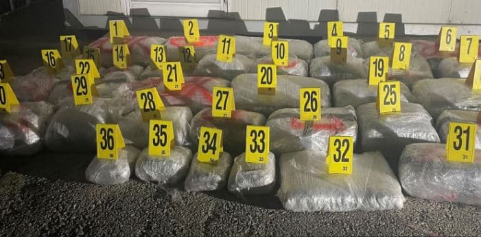 Gjilan: U zunë me afro 183 kilogramë marihuanë, kërkohet paraburgim ndaj dy të dyshuarve