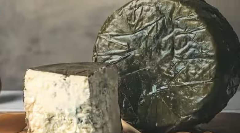 Fabrika e birrës dhe qumështorja bashkohen për të krijuar birrën me djathë (VIDEO)